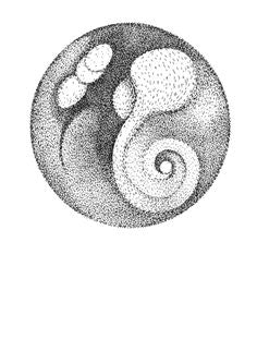 Franklin Summer - Selected drawings 1995-2001 - Yoko Ono