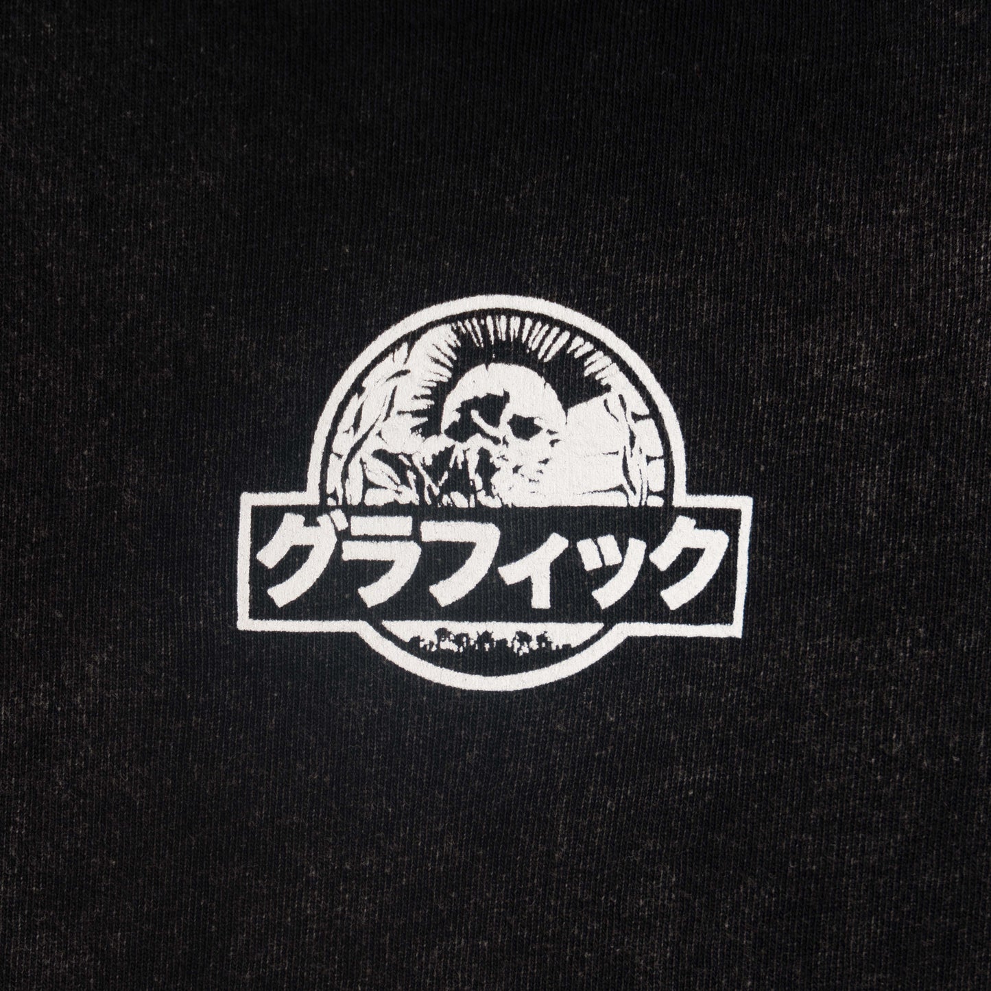 FOSSIL GFX T-SHIRT [WASHED BLACK]