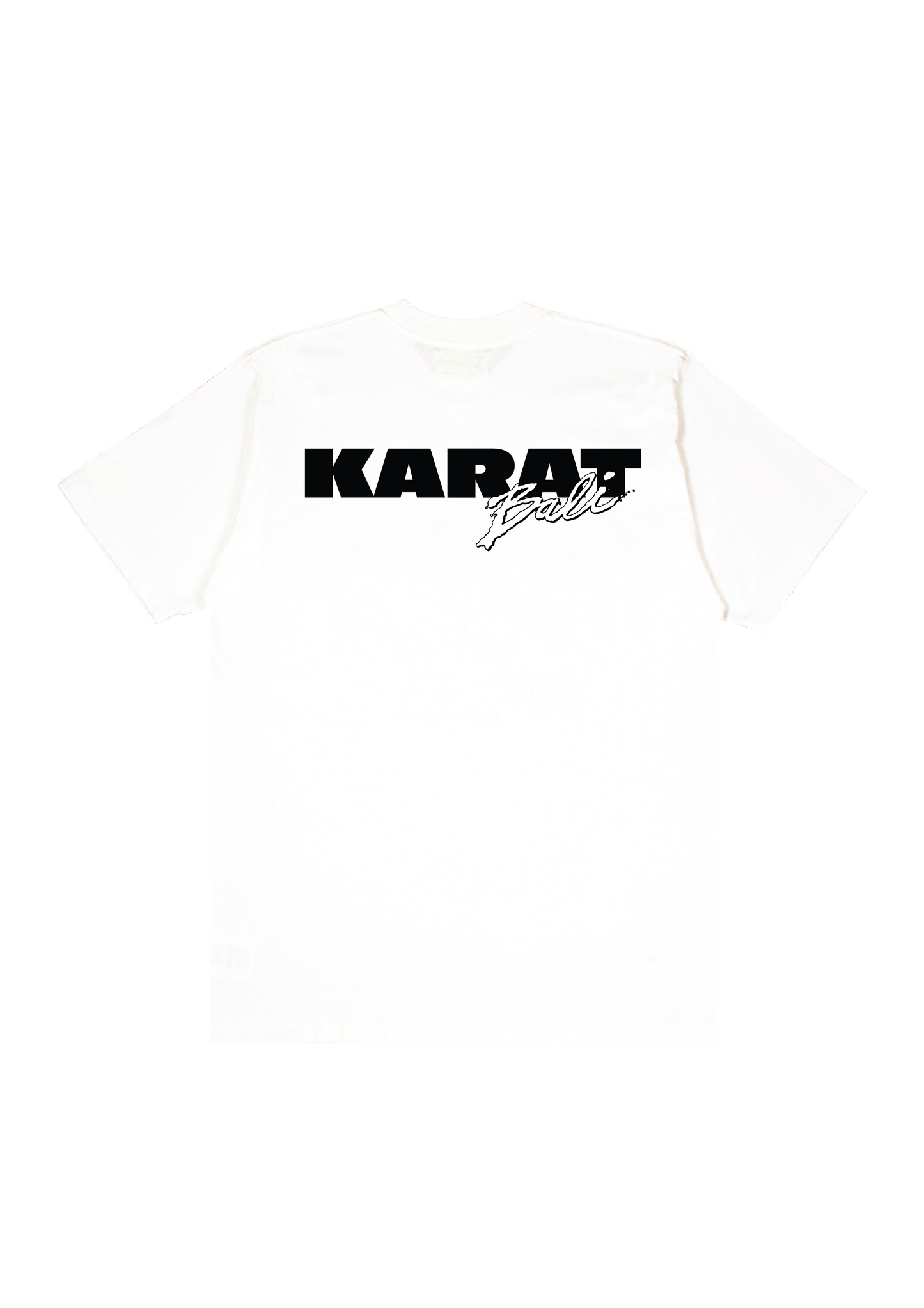 CAUGHT STEALING T-SHIRT