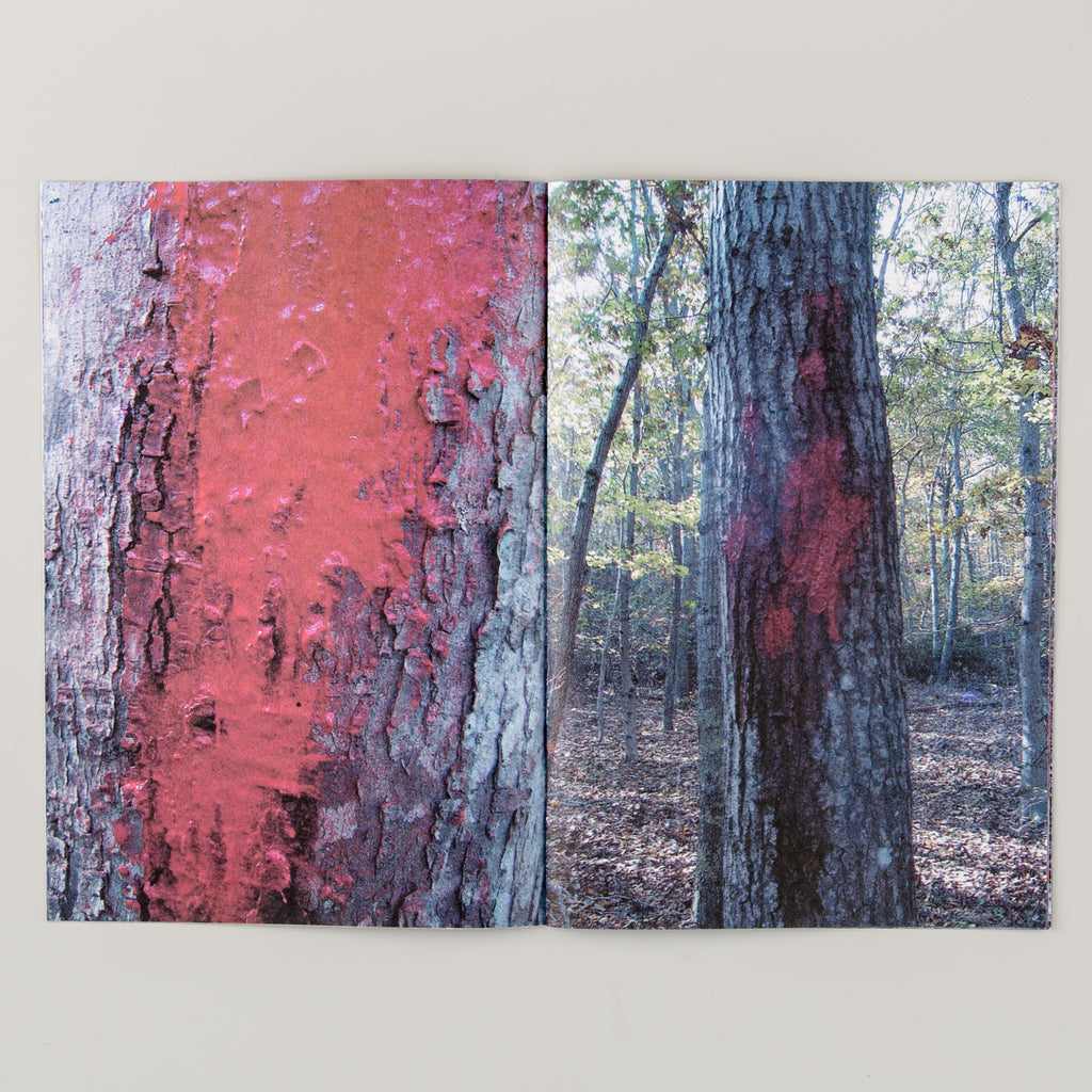 LUCIEN SMITH - THE DREAM OF THE ROOD