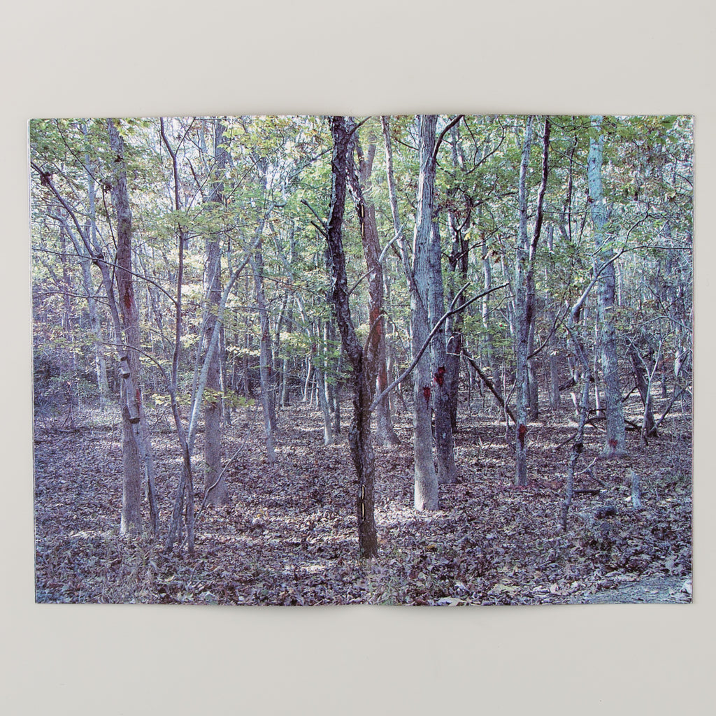 LUCIEN SMITH - THE DREAM OF THE ROOD