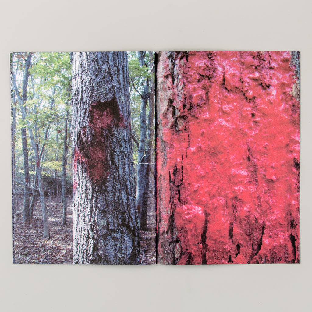 LUCIEN SMITH - THE DREAM OF THE ROOD